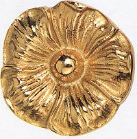 Messingrosette Blume